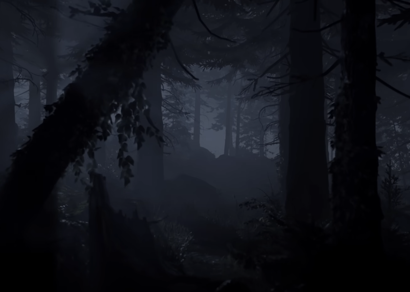 video-section-banner-image